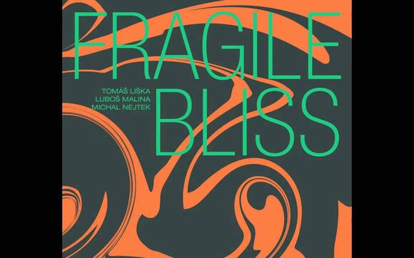 S Lubošem Malinou a Michalem Nejtkem o albu Fragile Bliss