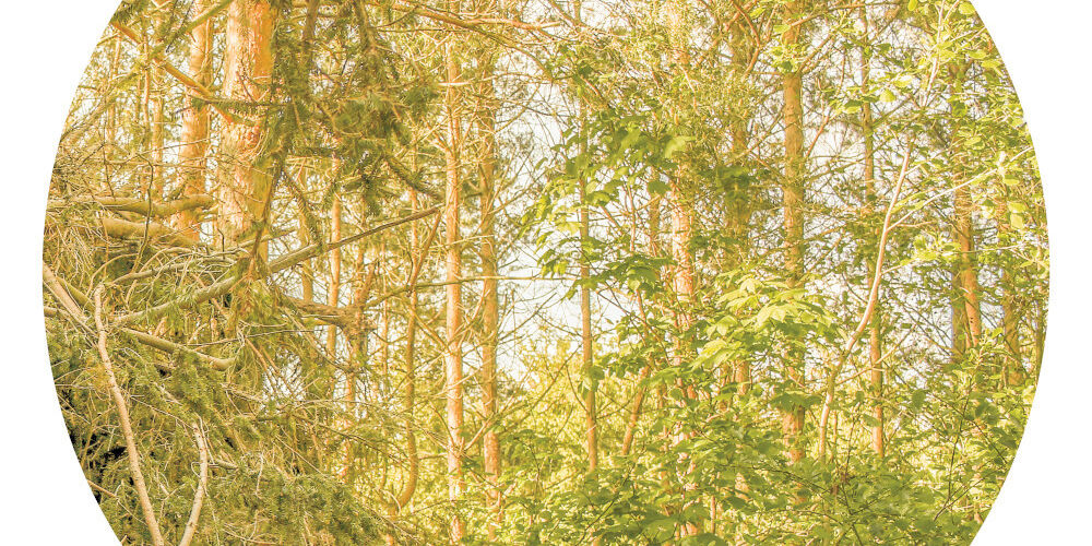 Rozhovor se Zdeňkem Bínou ze skupiny -123 min.