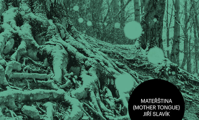 S Jiřím Slavíkem o albu Mateřština