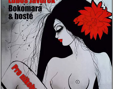 Lubomír Javůrek & Bokomara: Pro nikoho (recenze CD)
