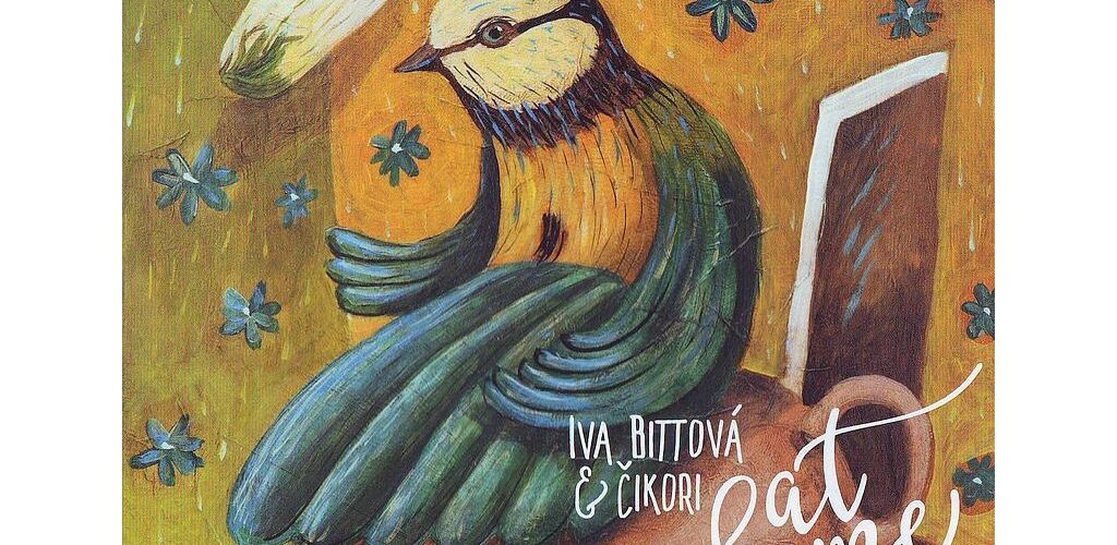 Rozhovor s Ivou Bittovou