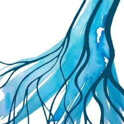 Rozhlas klidné vlny