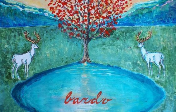 Sisa Fehér & Vladko Mikláš: Bardo (recenze CD)