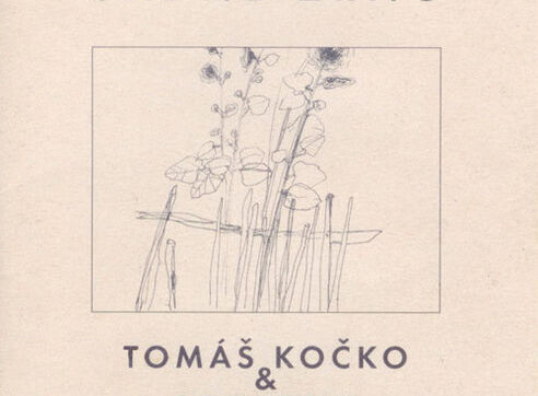 Tomáš Kočko & Orchestr: Sadné zrno (recenze alba)