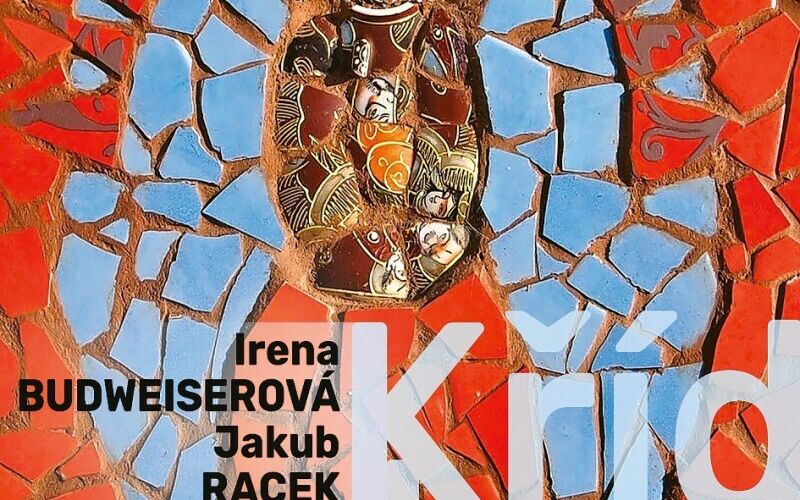 Křídla Ireny Budweiserové