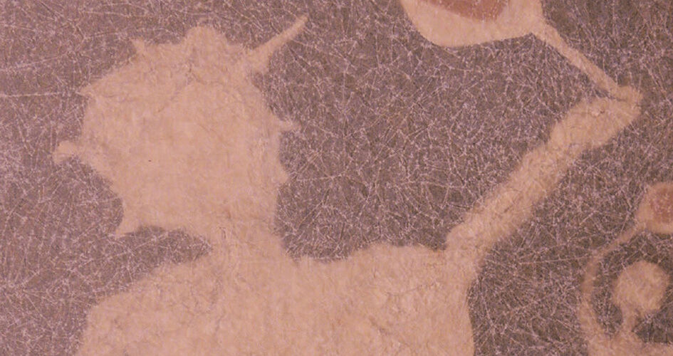 Tara Fuki a album Motyle