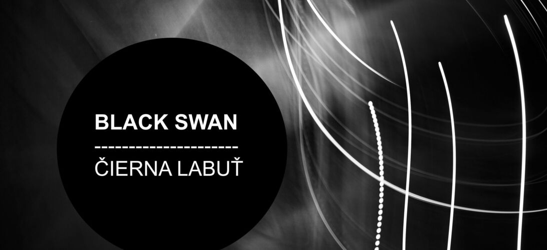 Erik Rothenstein a Čierna labuť