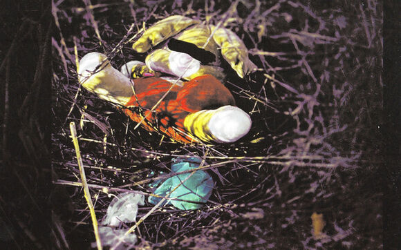 David Kollar a jeho tři alba z izolace