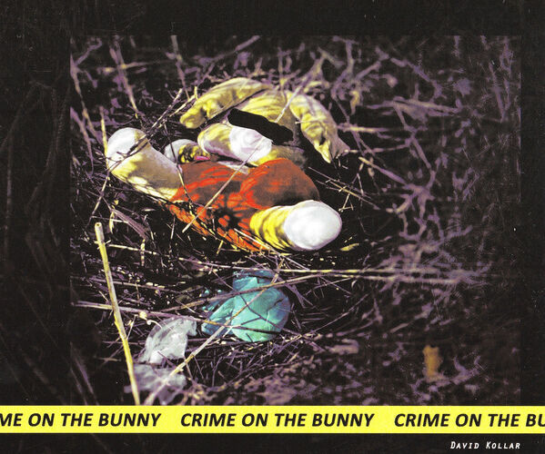 David Kollar a jeho tři alba z izolace