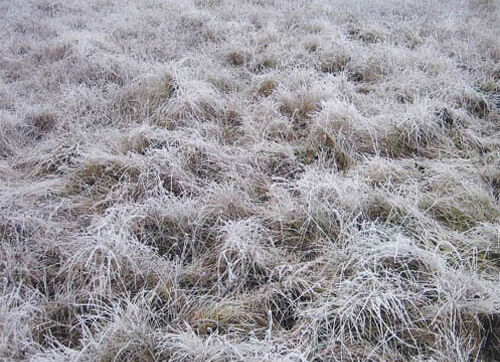 Rozhovor s kytaristou Pavlem Richterem