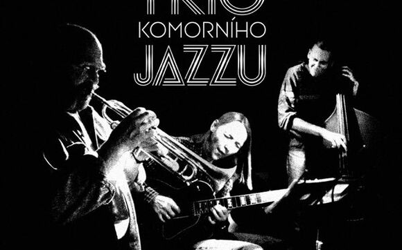 Roman Pokorný představí Trio komorního jazzu