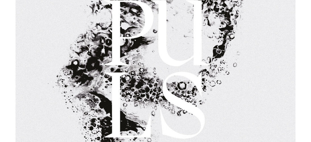 Skupina Kittchen o albu Puls