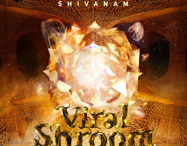 Rozhovor se skupinou Shivanam