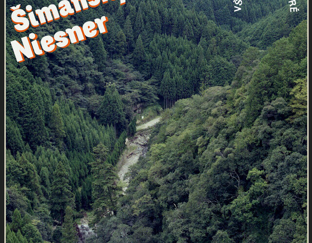 Duo Šimanský & Niesner živě z Koncertního studia