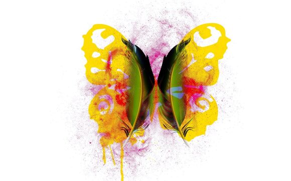 Se skupinou Tranzan o albu Motýl