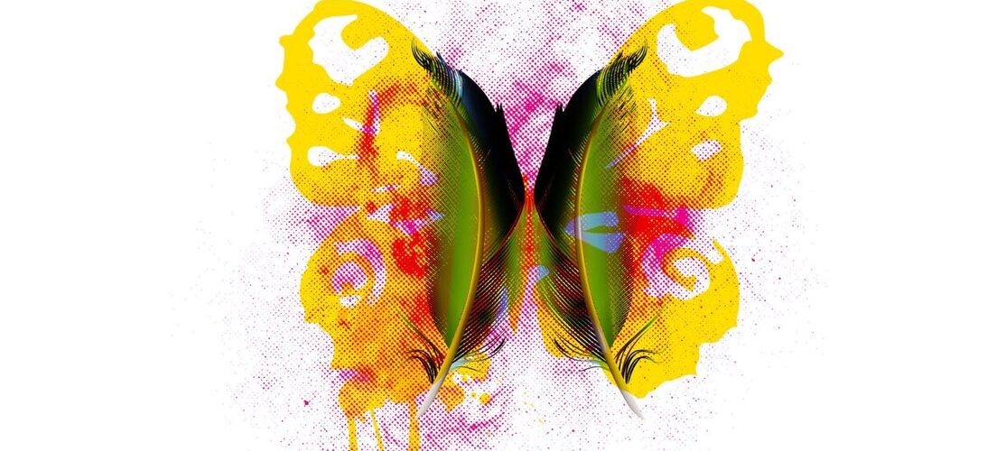 Se skupinou Tranzan o albu Motýl