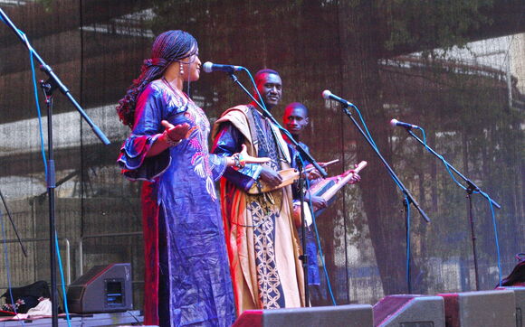 Rozhovor s africkým hudebníkem Bassekou Kouyatém