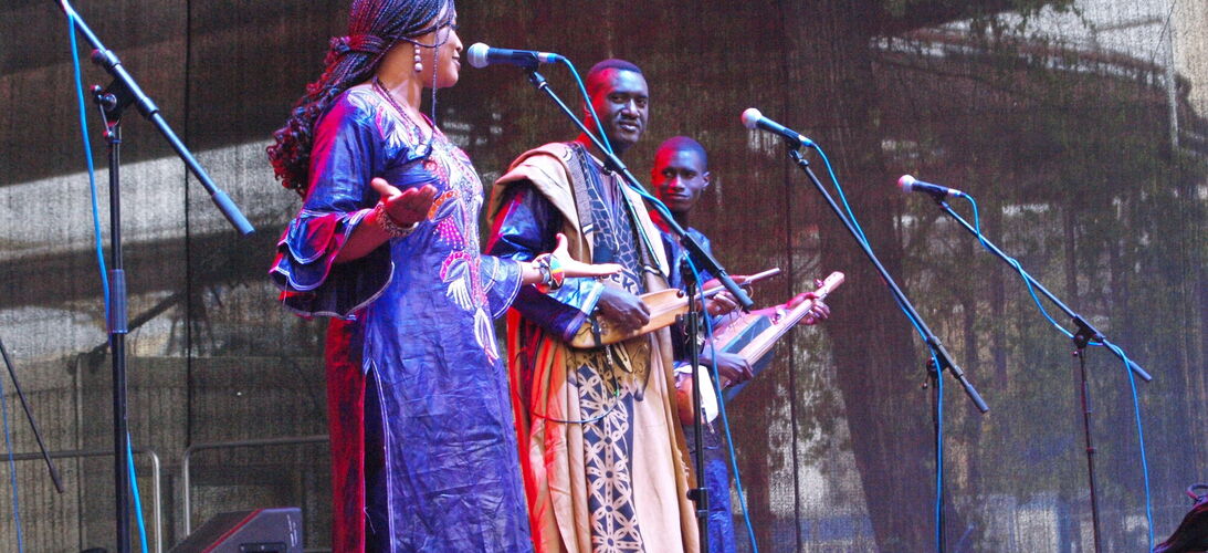 Rozhovor s africkým hudebníkem Bassekou Kouyatém