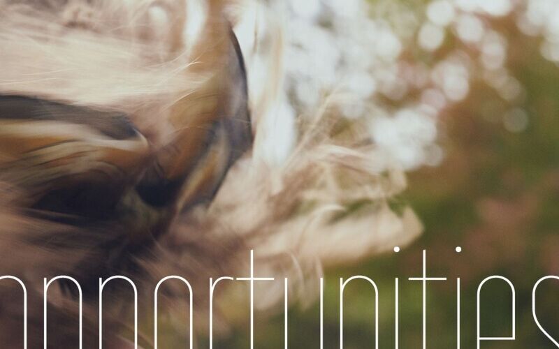 Rozhovor s písničkářkou Andreou Šulcovou