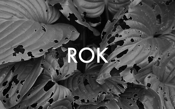 S autorským duem Pospiš & Sillay o albu Rok