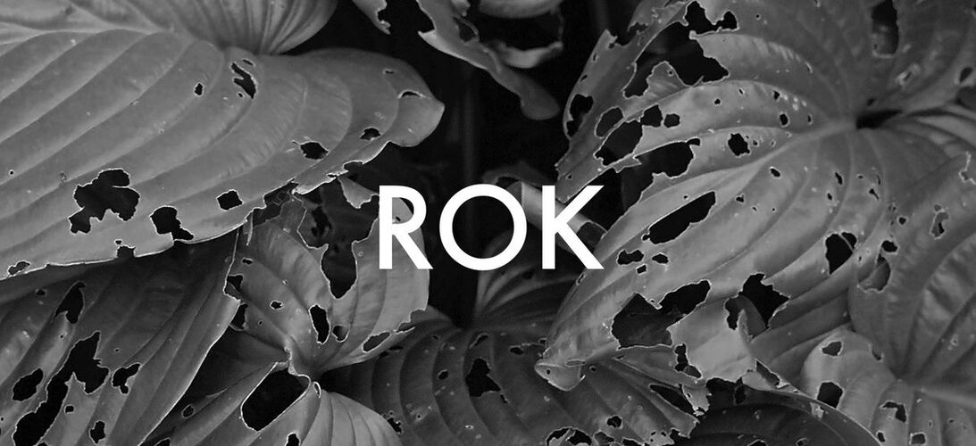 S autorským duem Pospiš & Sillay o albu Rok