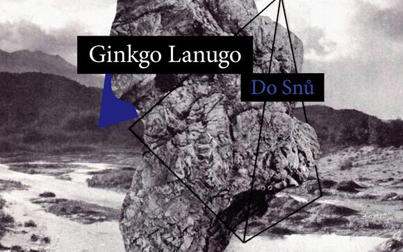 Rozhovor s duem Ginkgo Lanugo