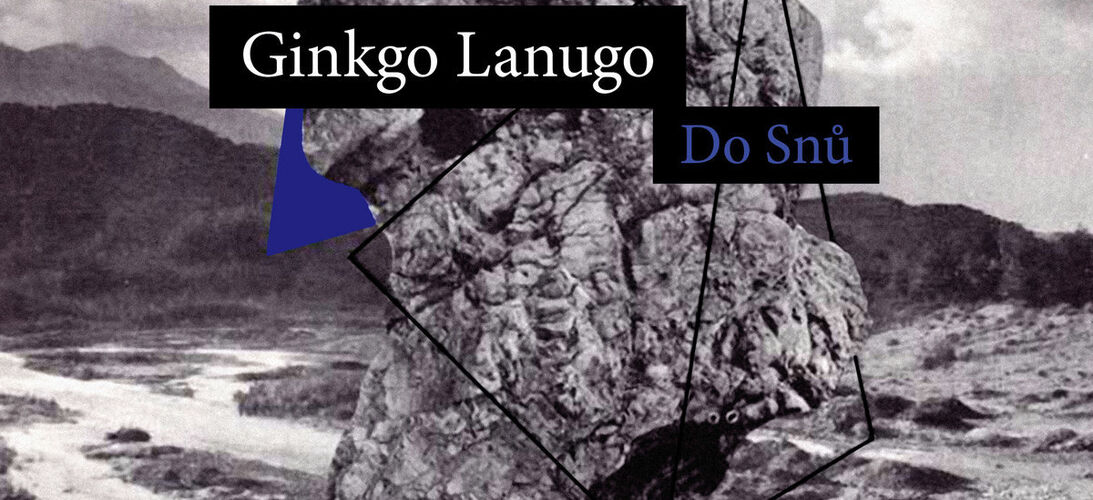 Rozhovor s duem Ginkgo Lanugo