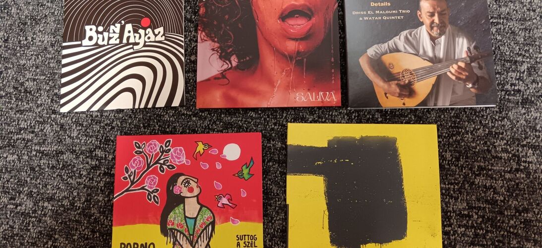 World Music Charts Europe – listopad 2024