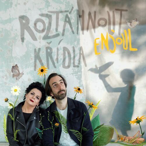 S Petrem Vaňkem o skupině Ensoul