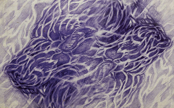 Hudební vydavatelství Papagájův hlasatel