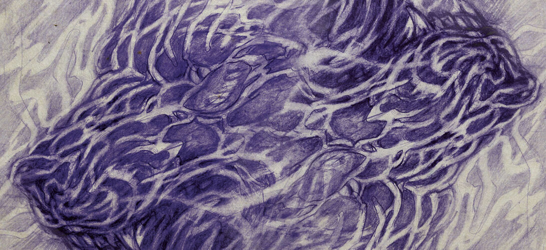 Hudební vydavatelství Papagájův hlasatel