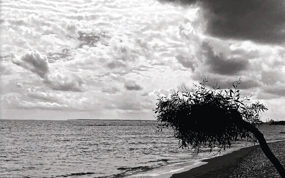 Rozhovor s jazzovým pianistou Danielem Bulatkinem