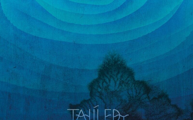 Rozhovor se skupinou Tajíledy